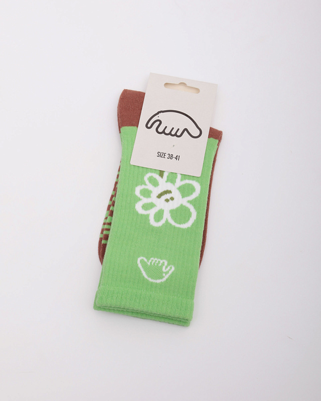 Носки Anteater Socks (зеленый / коричневый)