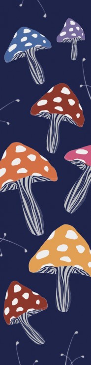 Шкурка Shkura prod Mushrooms мульти