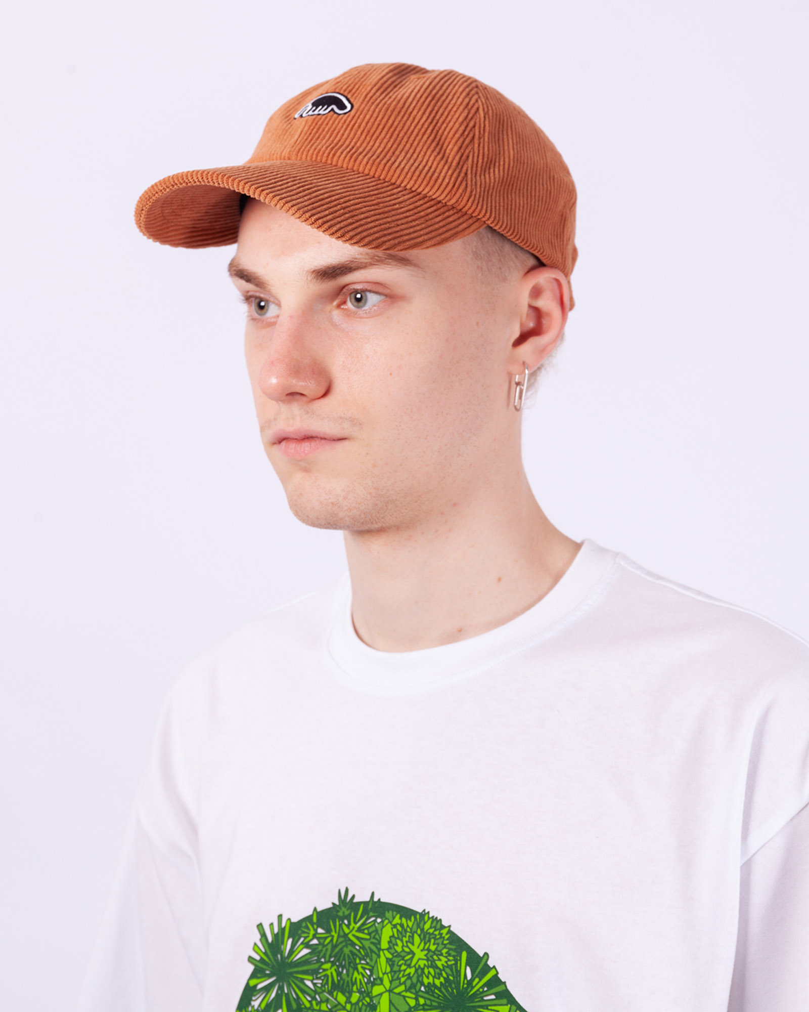Кепка Anteater 6Panel Velvet кофекофе