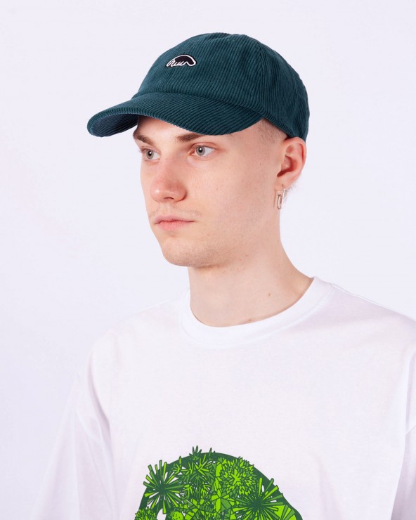 Кепка Anteater 6Panel Velvet синий