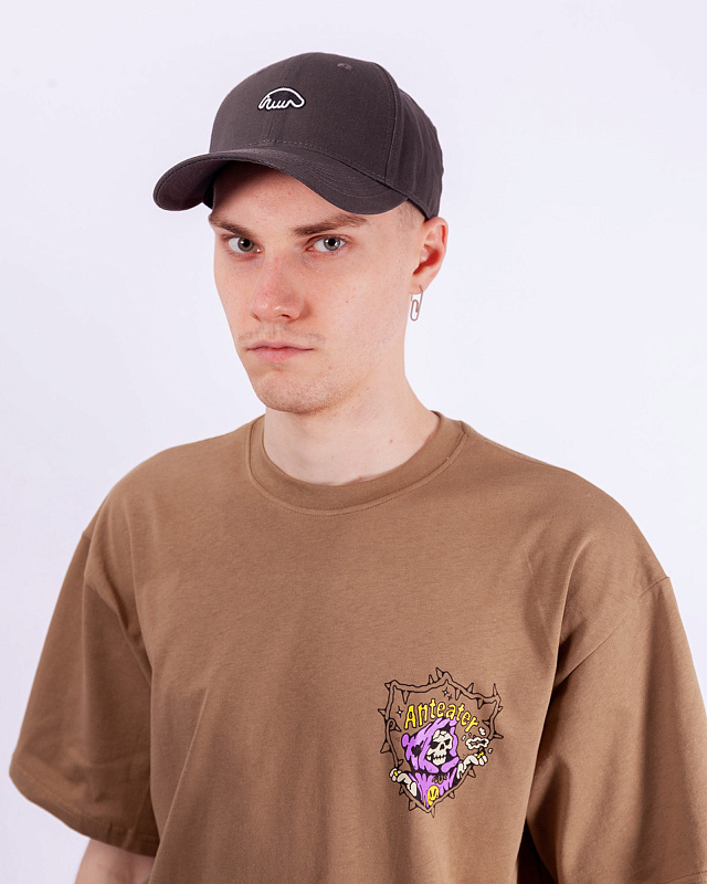 Кепка Anteater Baseball серыйсерый