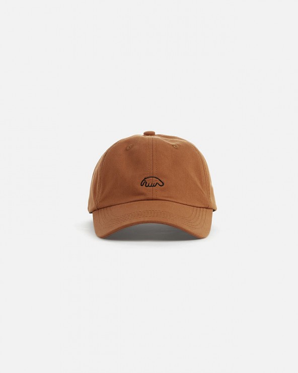 Кепка Anteater 6Panel песочный