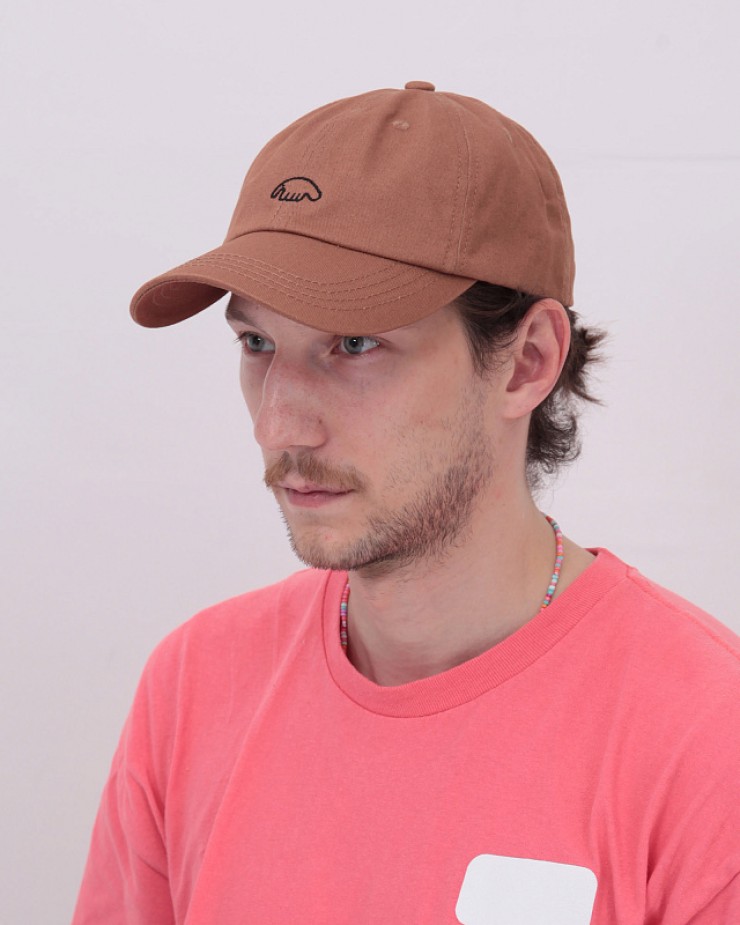 Кепка Anteater 6Panel кофе