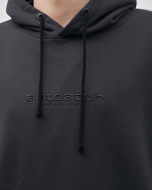 Толстовка Anteater Hoodie серый  L