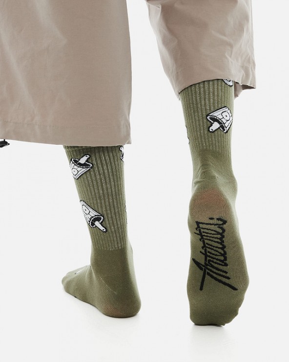 Носки Anteater Socks хаки  M