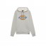 Толстовка Dickies Relaxed Fit Icon Graphic Fleece серый