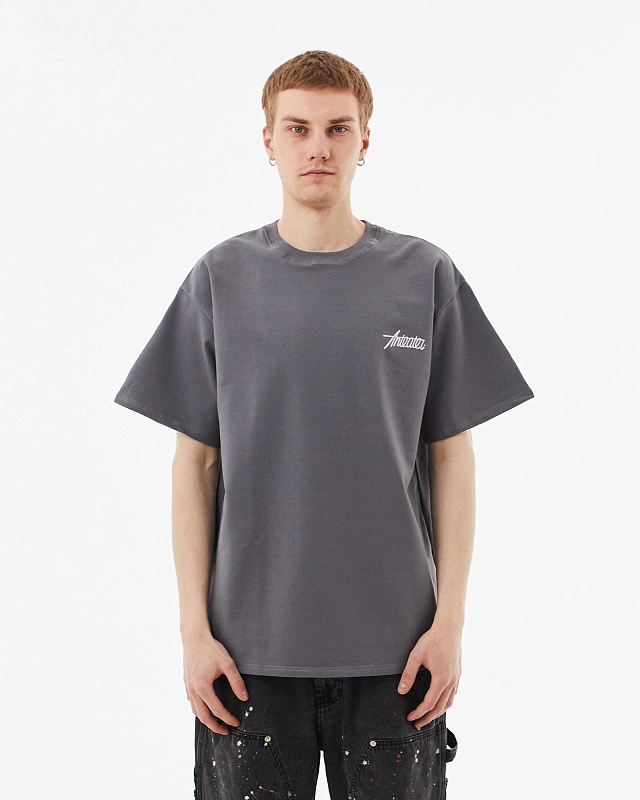 Футболка Anteater Phat Tee бежевыйсерый
