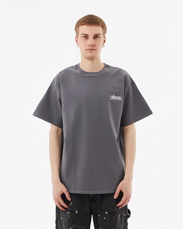 Футболка Anteater Phat Tee серый