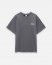 Футболка Anteater Phat Tee серый