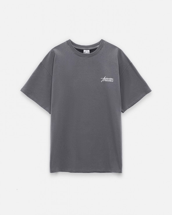 Футболка Anteater Phat Tee серый