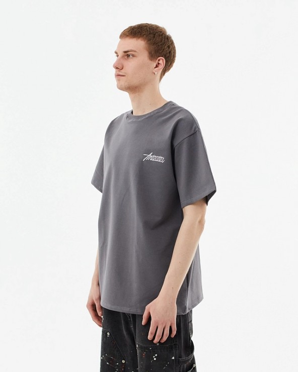 Футболка Anteater Phat Tee серый