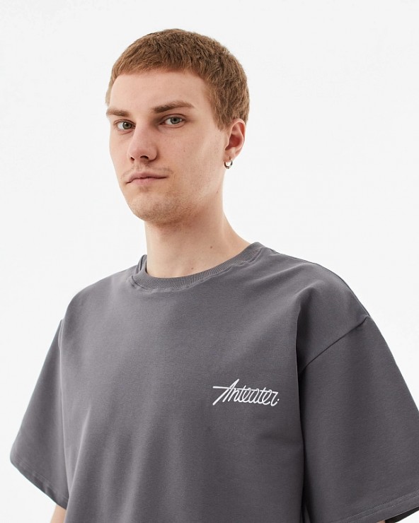 Футболка Anteater Phat Tee серый