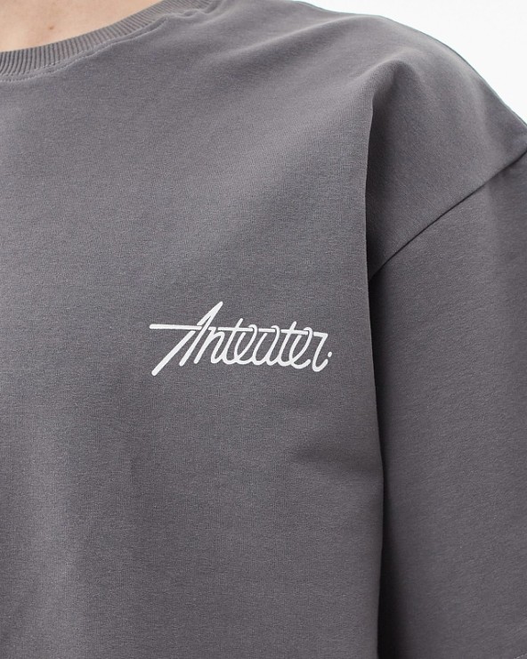 Футболка Anteater Phat Tee серый