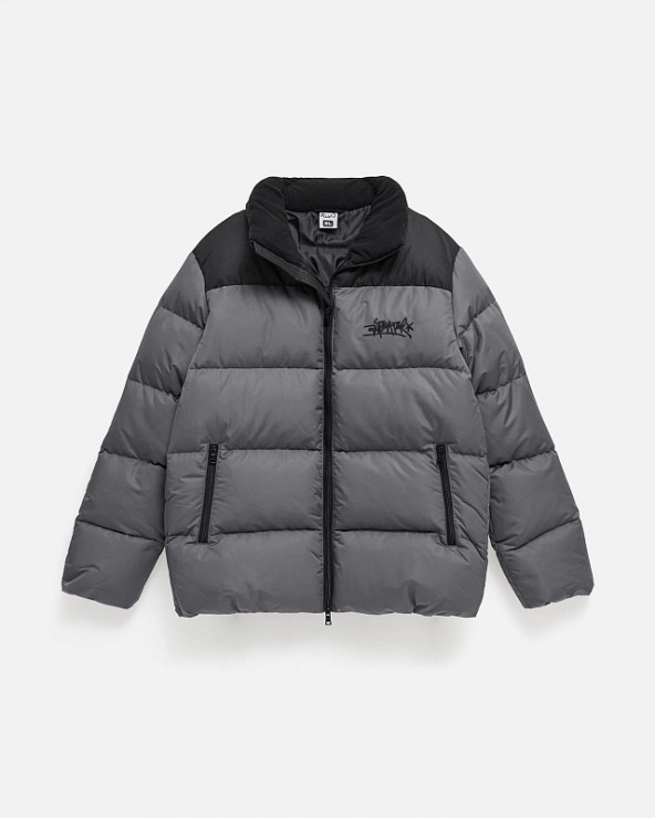 Куртка зимняя Anteater Down Jacket черный / темно-серый