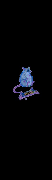 Шкурка Shkura prod Rat Skater мульти