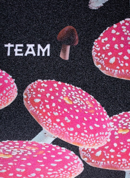 Шкурка Tech Team Amanitas мульти