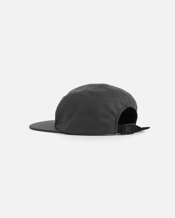 Кепка Anteater 5Panel серый