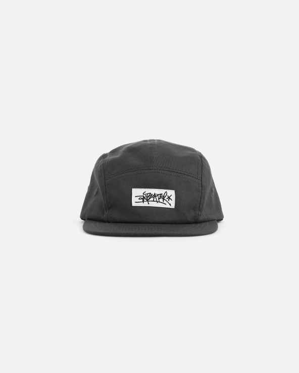 Кепка Anteater 5Panel серый