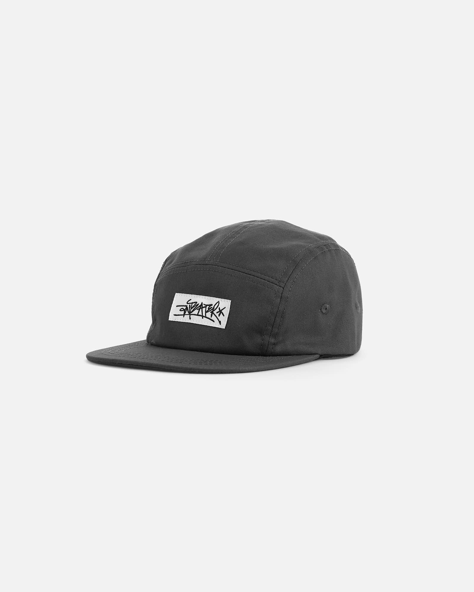 Кепка Anteater 5Panel серый