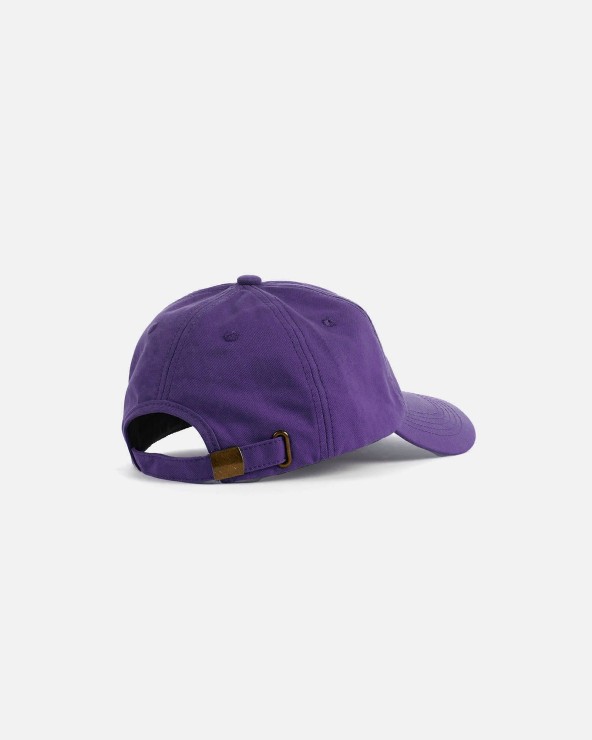 Кепка Anteater 6Panel фиолетовый