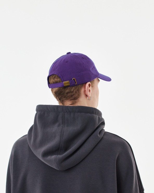 Кепка Anteater 6Panel фиолетовый