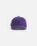 Кепка Anteater 6Panel фиолетовый