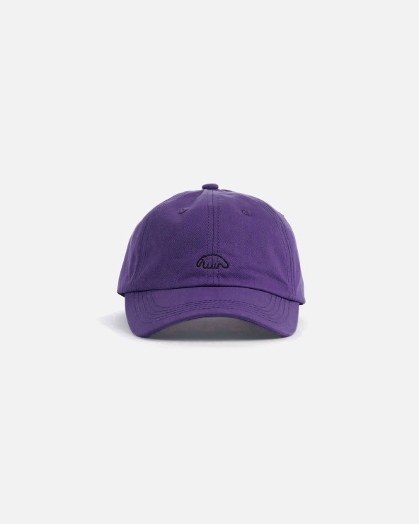 Кепка Anteater 6Panel фиолетовый
