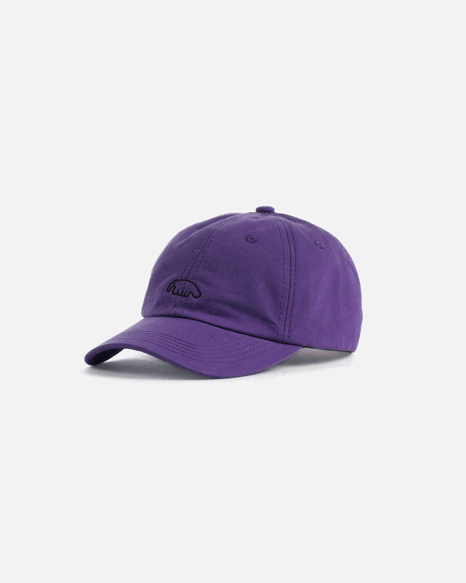 Кепка Anteater 6Panel фиолетовый