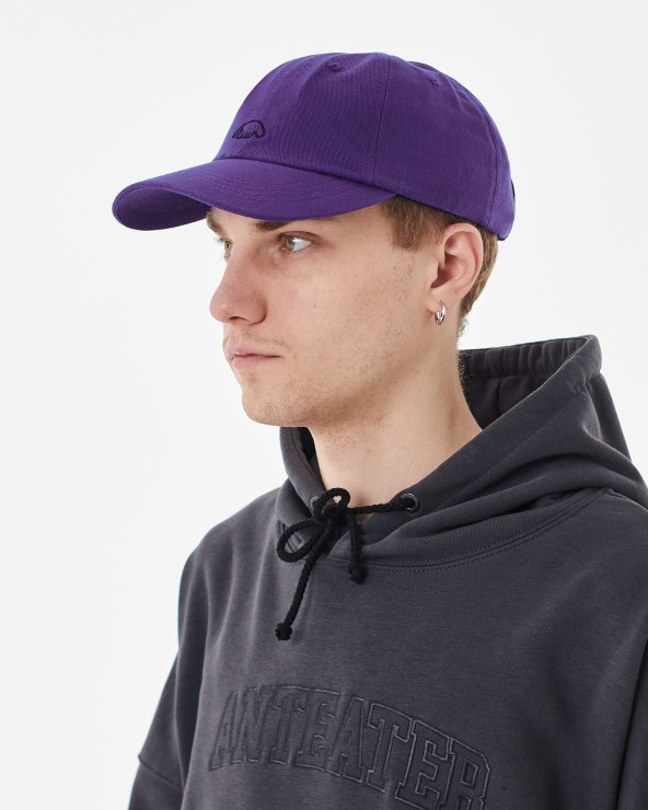 Кепка Anteater 6Panel фиолетовый