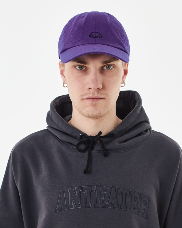 Кепка Anteater 6Panel фиолетовый