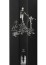 Дека Trust Alex Shaw 6.8x24 черный