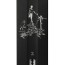 Дека Trust Alex Shaw 6.8x22.5 черный