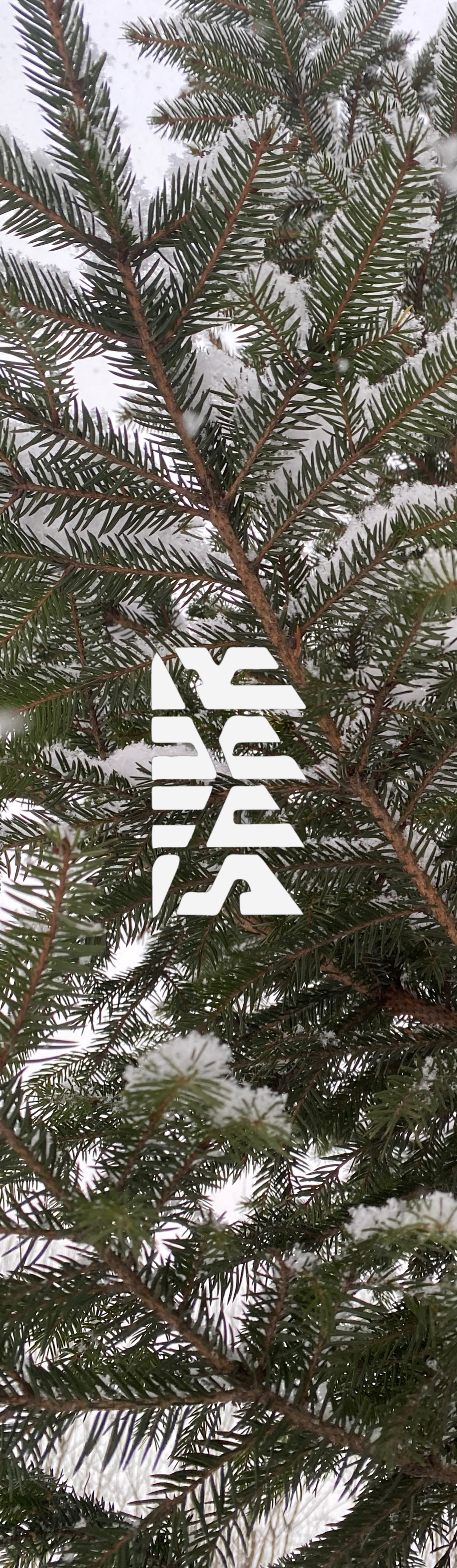 Шкурка Shkura prod Winter Fir мульти