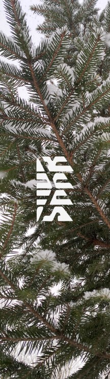 Шкурка Shkura prod Winter Fir мульти