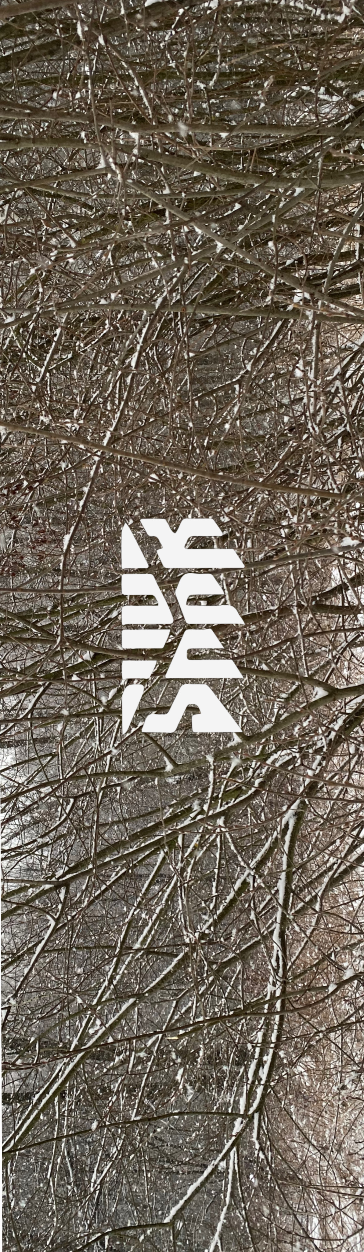Шкурка Shkura prod Winter Branches мульти