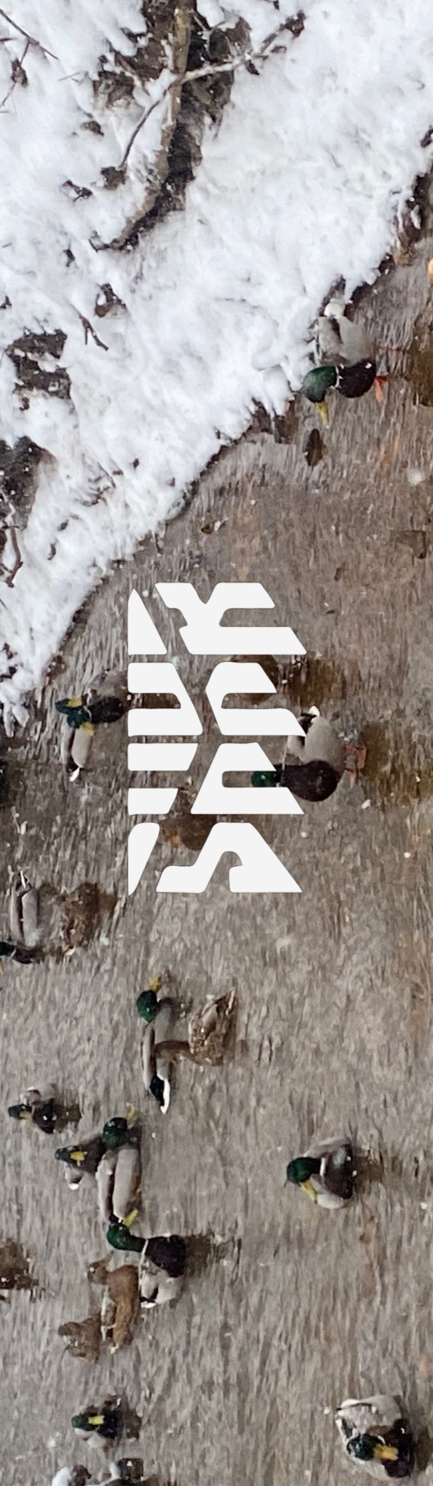 Шкурка Shkura prod Winter Lake мульти