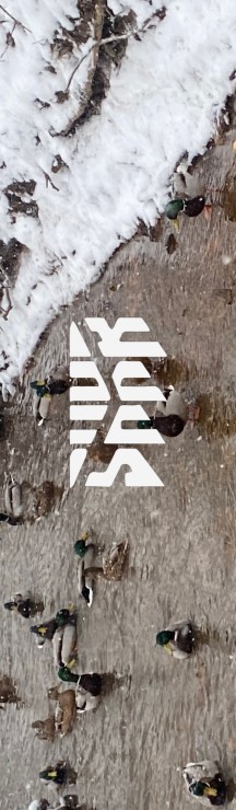 Шкурка Shkura prod Winter Lake мульти