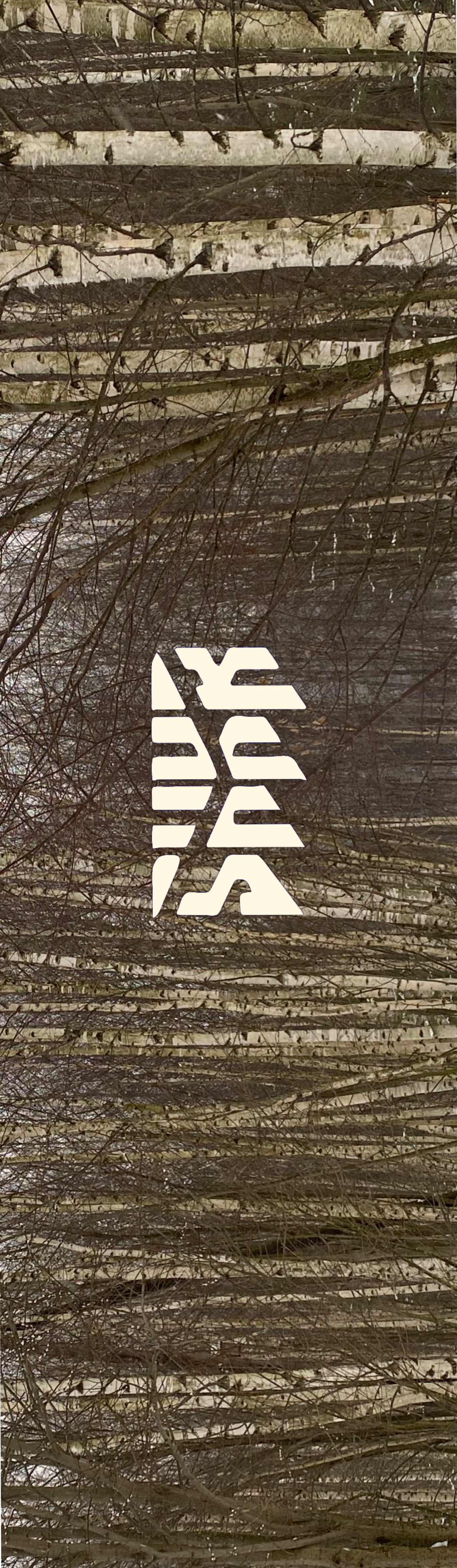 Шкурка Shkura prod Winter Birch мульти