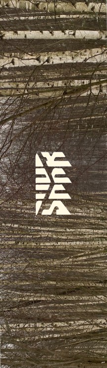 Шкурка Shkura prod Winter Birch мульти